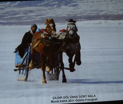 Arpaçay 400 DSC04610