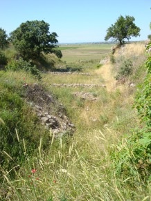 Troy Truva Troytroad