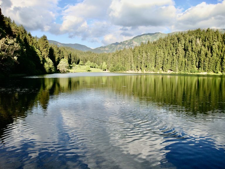 Şavşat Meşeli National Park ŞavŞavşat Meşeli Karagöl Milli Parkışat Meşeli National Park