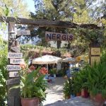 nergiscafe