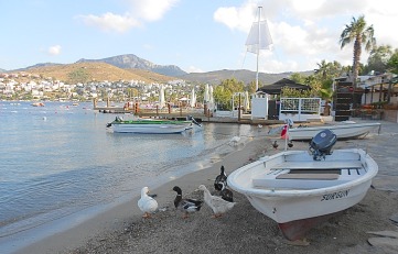 Göltürkbükü GTB1