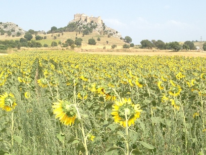 Hierapolis-Castabala budrum1