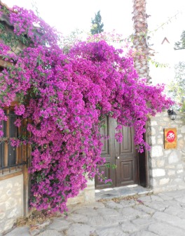 Eski Datça eskidatca1