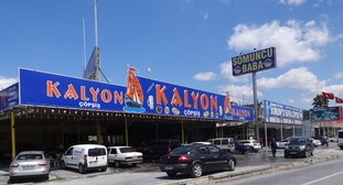 Ortaklar (Magnesia ad Maeandrum) copsis1