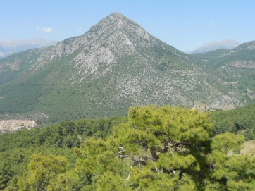 Kadyanda (Cadianda) kadyanda