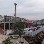 gemlik1